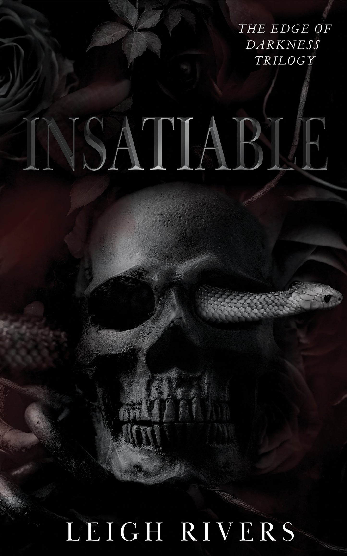 Insatiable (The Edge of Darkness: Book 1) Book by Leigh Rivers