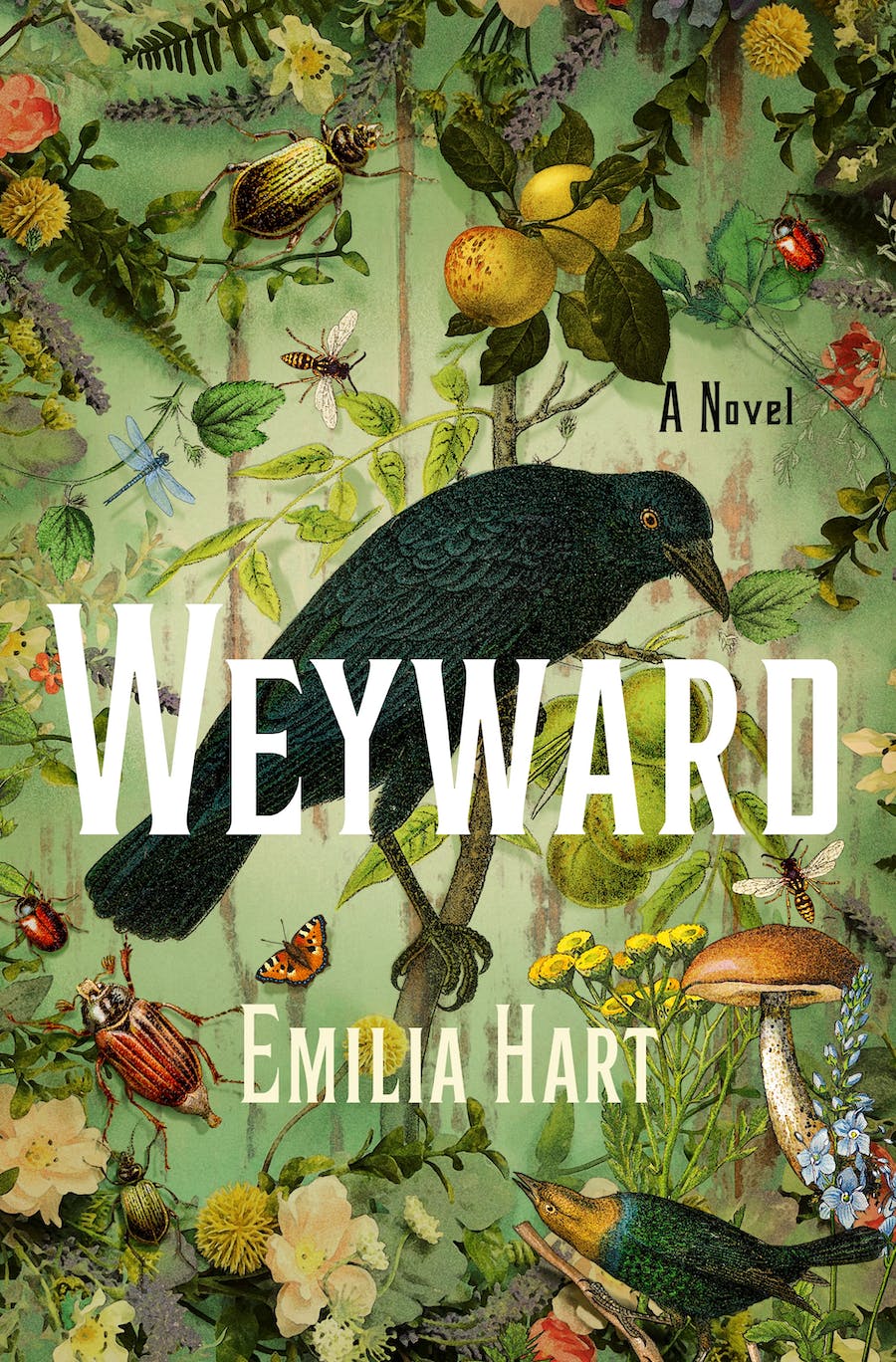 Weyward Novel by Emilia Hart