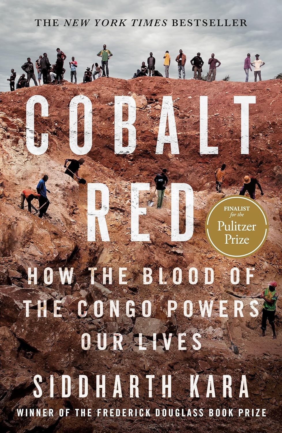 Cobalt Red: How the Blood of the Congo Powers Our Lives Book by Siddharth Kara