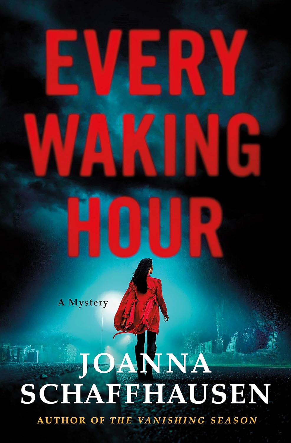 Every Waking Hour by Joanna Schaffhausen