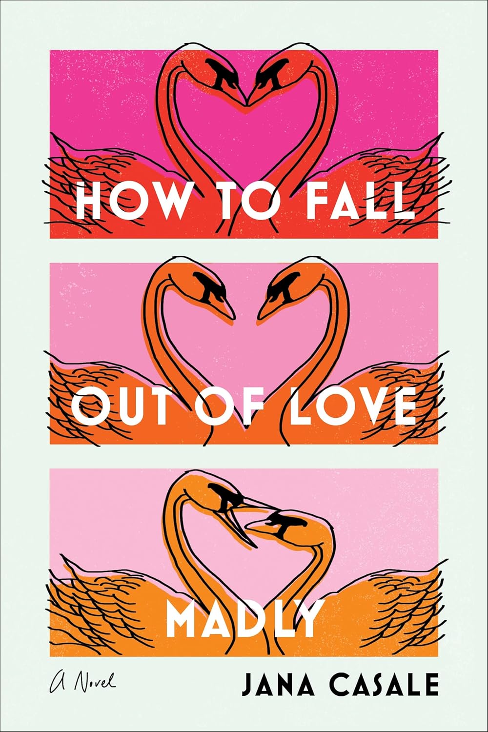 How to Fall Out of Love Madly: A Novel Book by Jana Casale