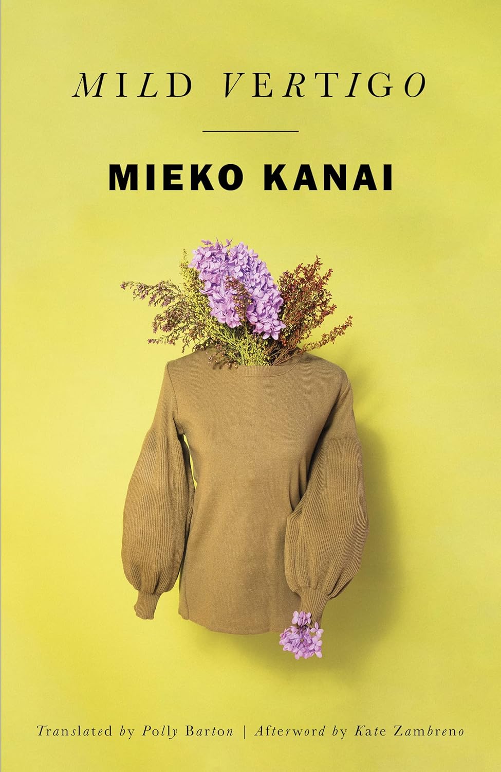 Mild Vertigo Novel by Mieko Kanai