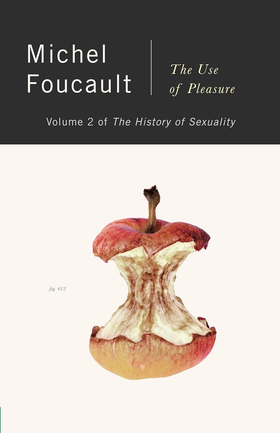 The History of Sexuality, Vol. 2: The Use of Pleasure by Michel Foucault