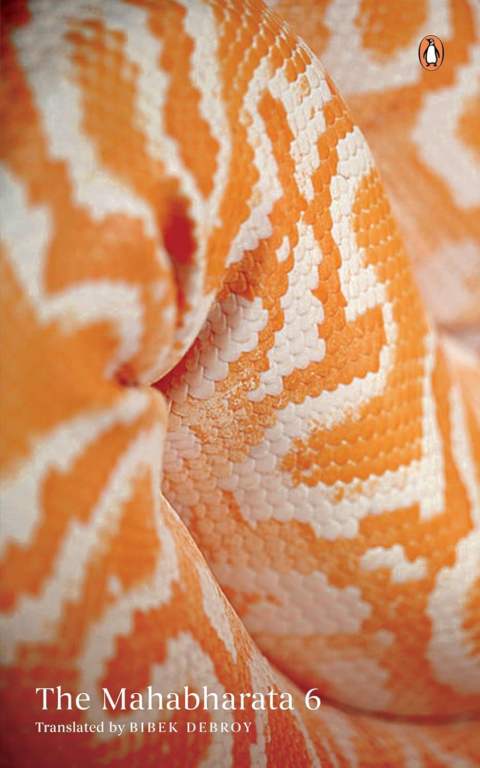 The Mahabharata: Volume 6 by Bibek Debroy