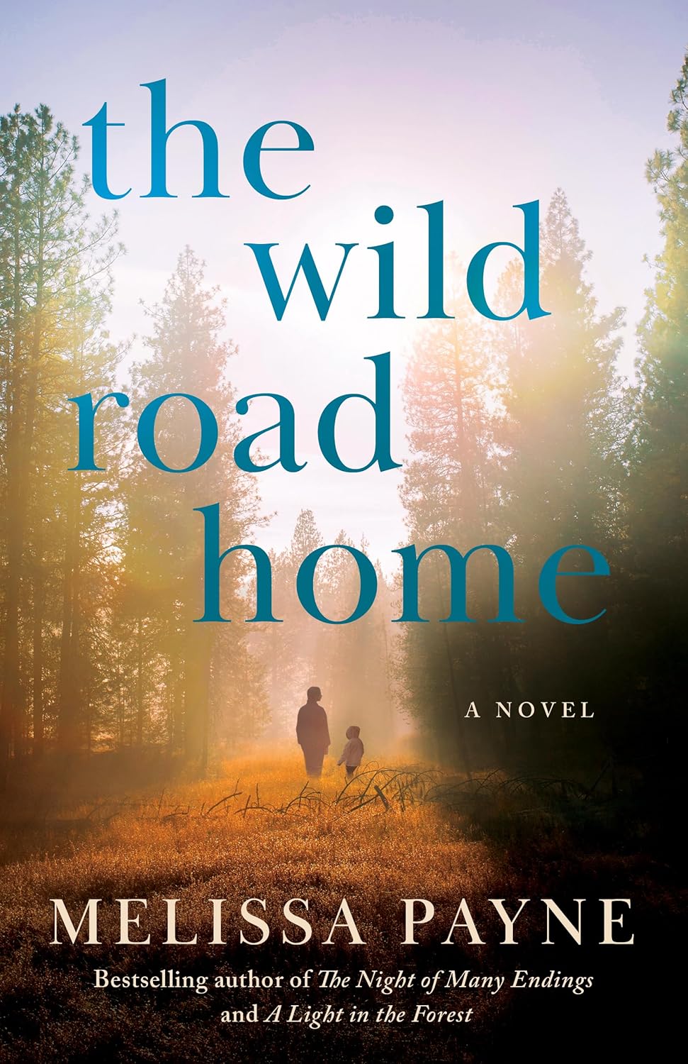 The Wild Road Home: A Novel Book by Melissa Payne