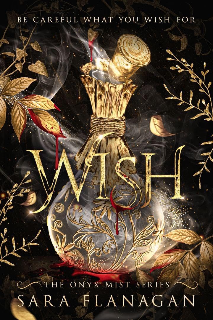 Wish Book by Sara Flanagan