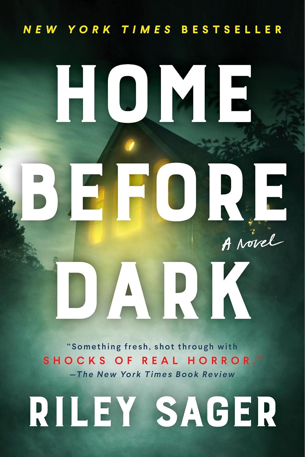 Home Before Dark Novel by Riley Sager