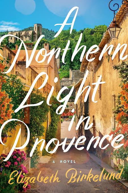 A Northern Light in Provence: A Novel Book by Elizabeth Birkelund