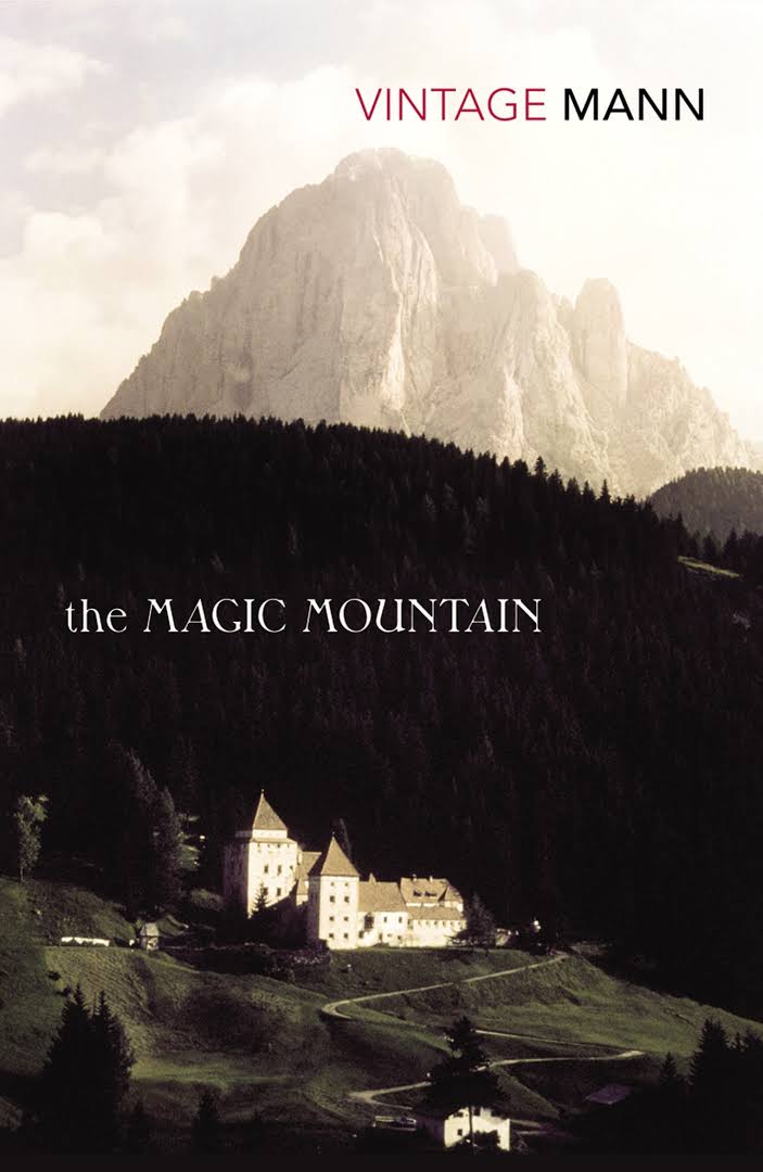 The Magic Mountain Novel by Thomas Mann