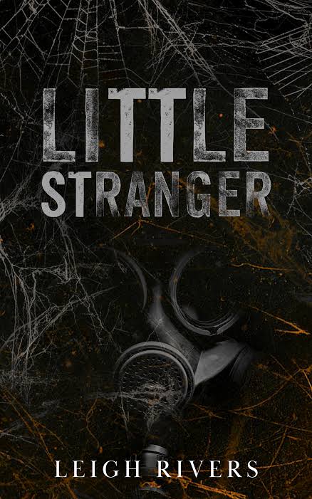 Little Stranger: A Dark Taboo Romance Book by Leigh Rivers