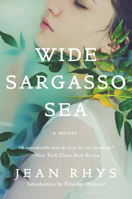 Wide Sargasso Sea Novel by Jean Rhys