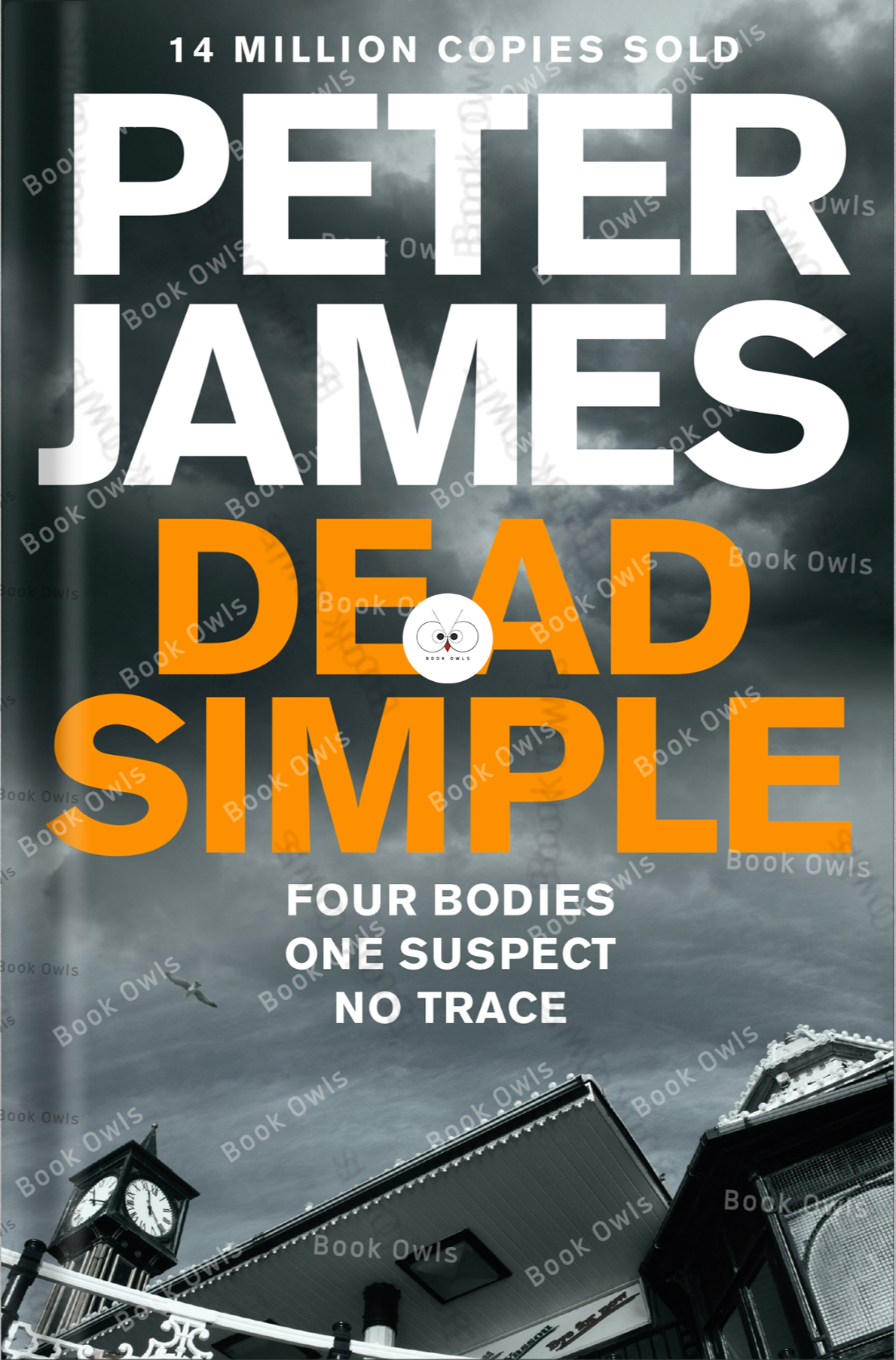 Dead Simple Book by Peter James