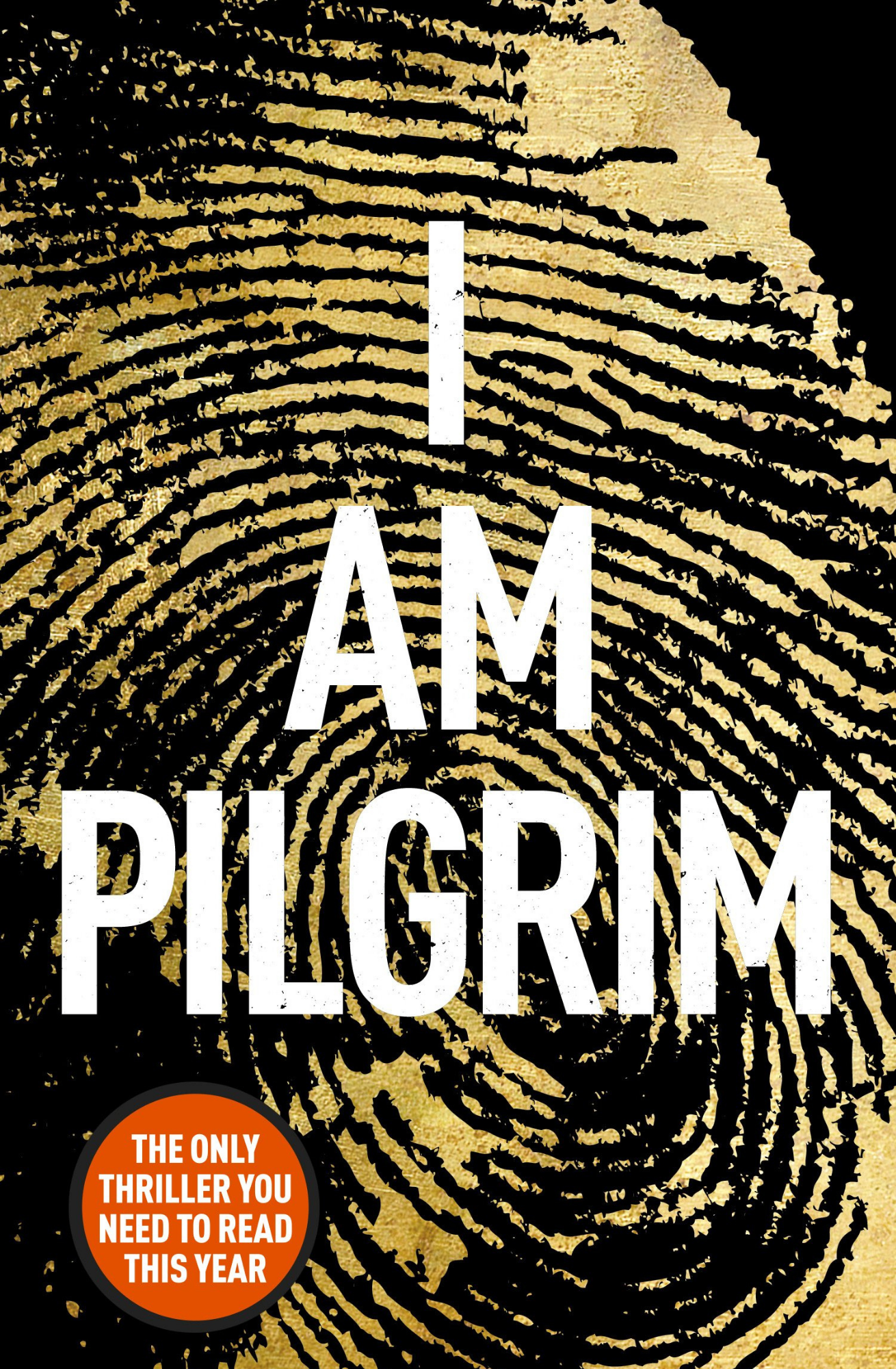 I Am Pilgrim by Terry Hayes