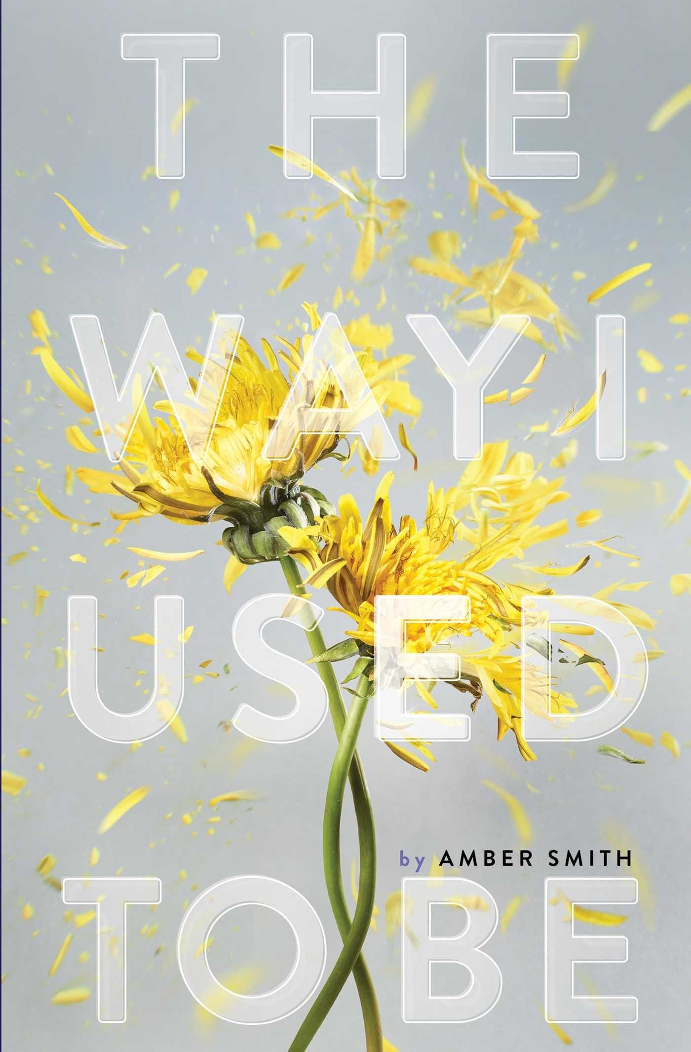 The Way I Used to Be
Book by Amber Smith