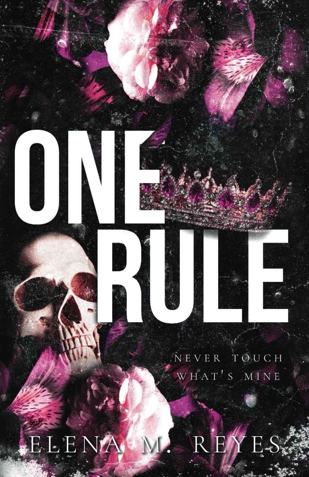 One Rule
Book by ELENA M. REYES