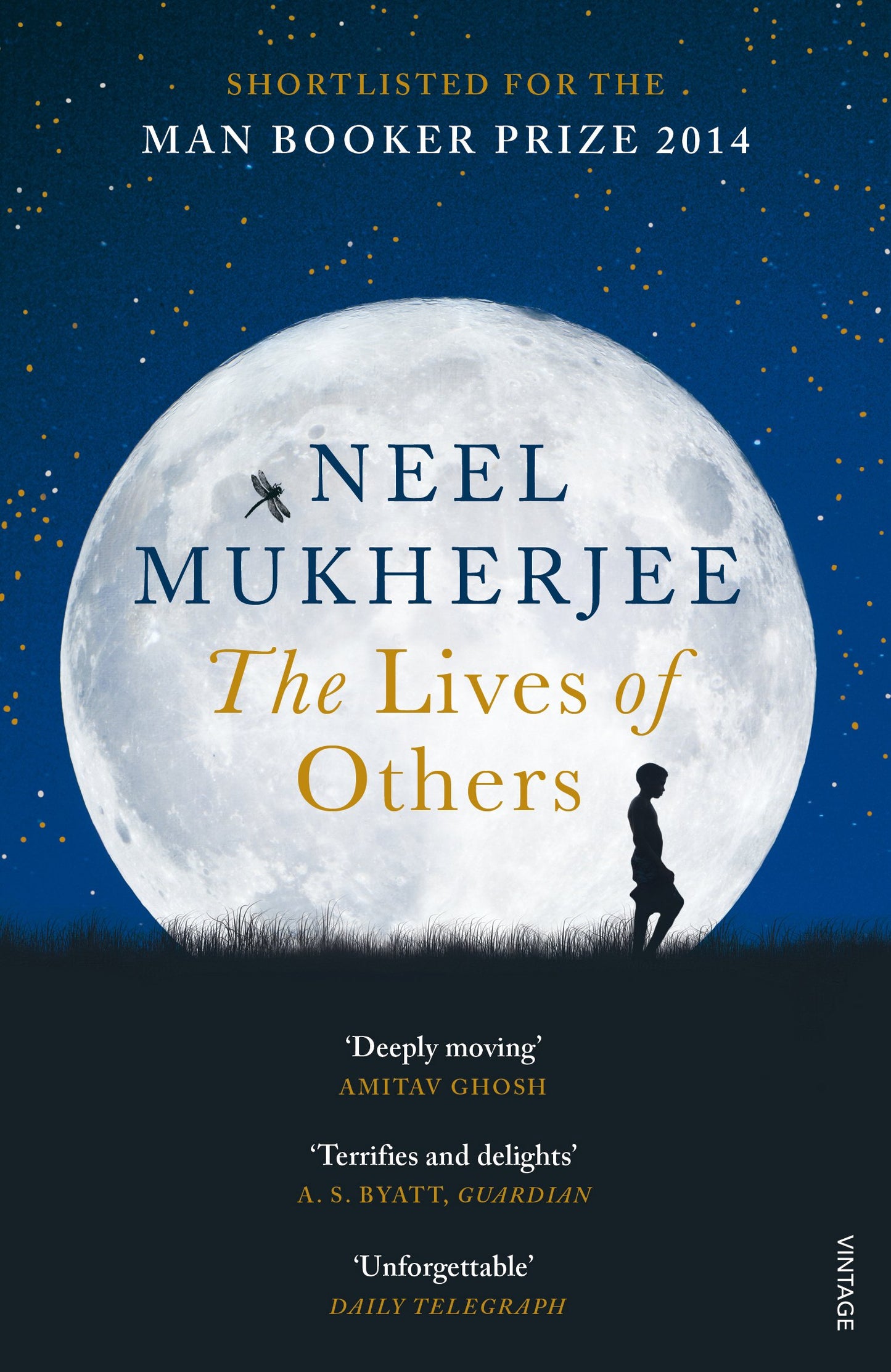 The Lives of Others
Novel by Neel Mukherjee