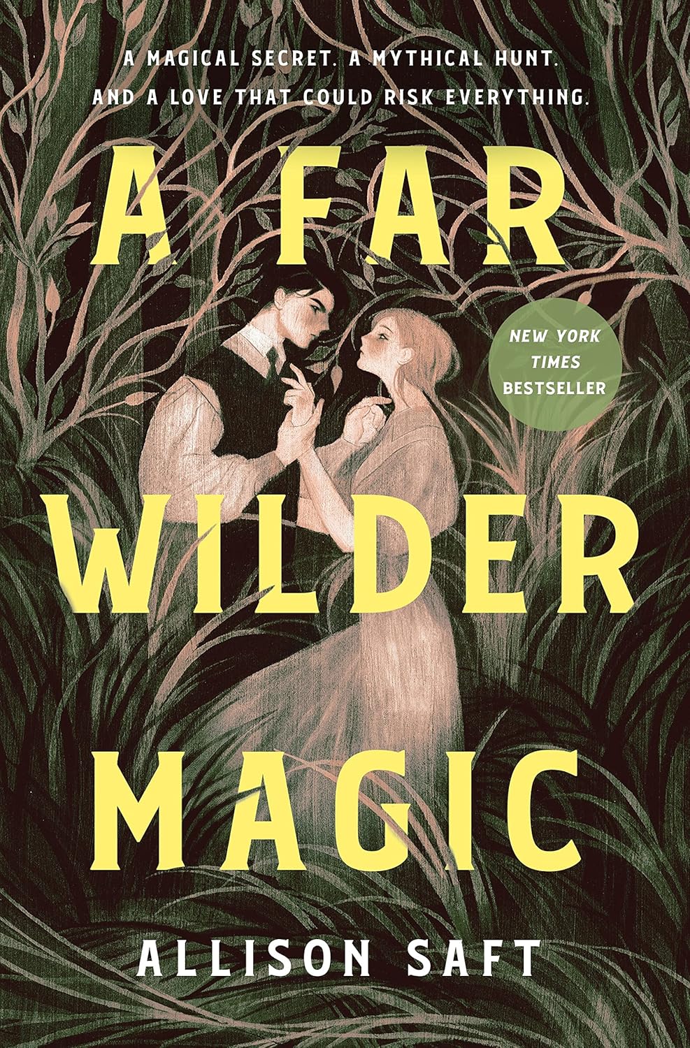 A Far Wilder Magic Book by Allison Saft