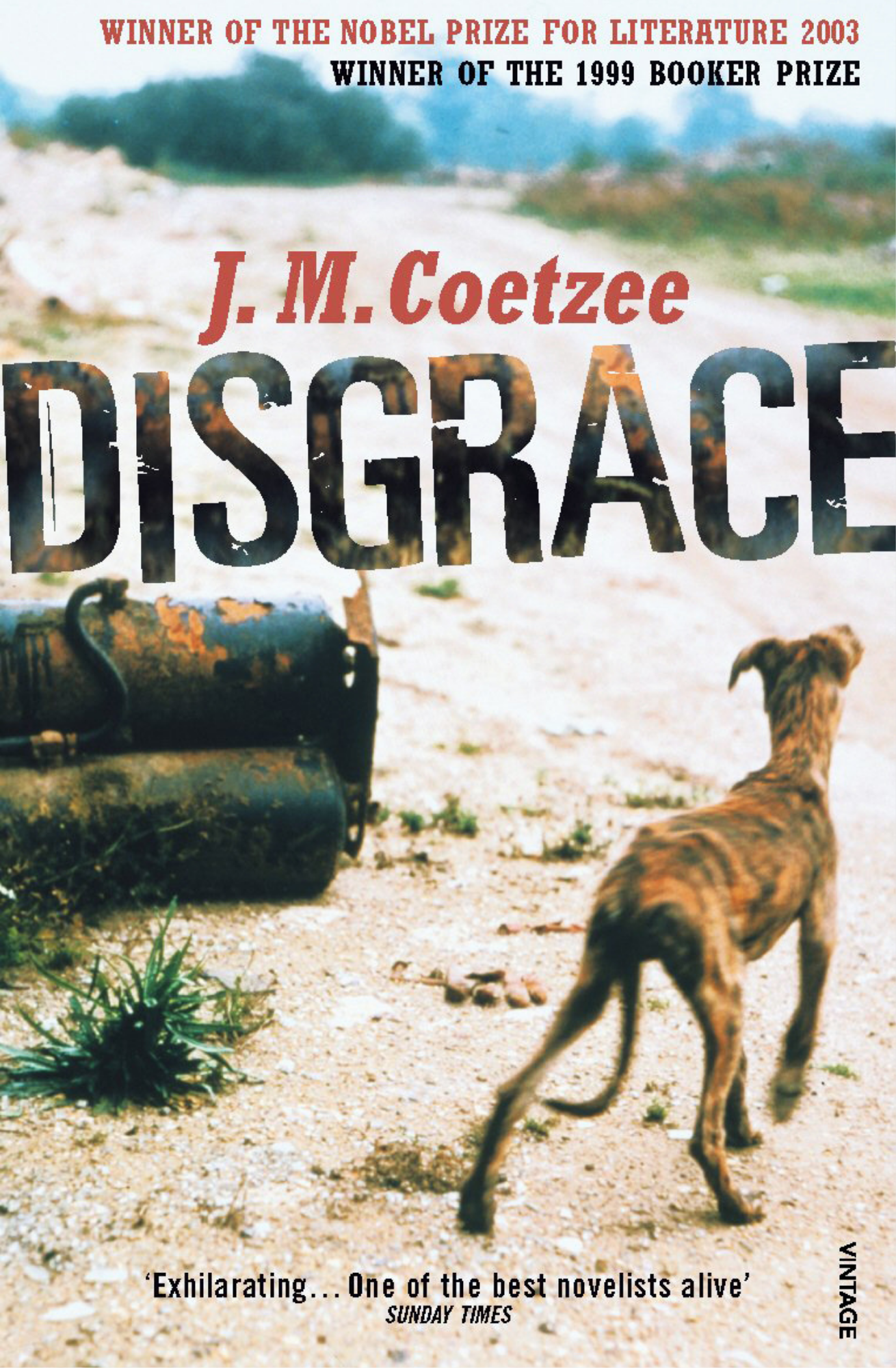 Disgrace by J.M. Coetzee