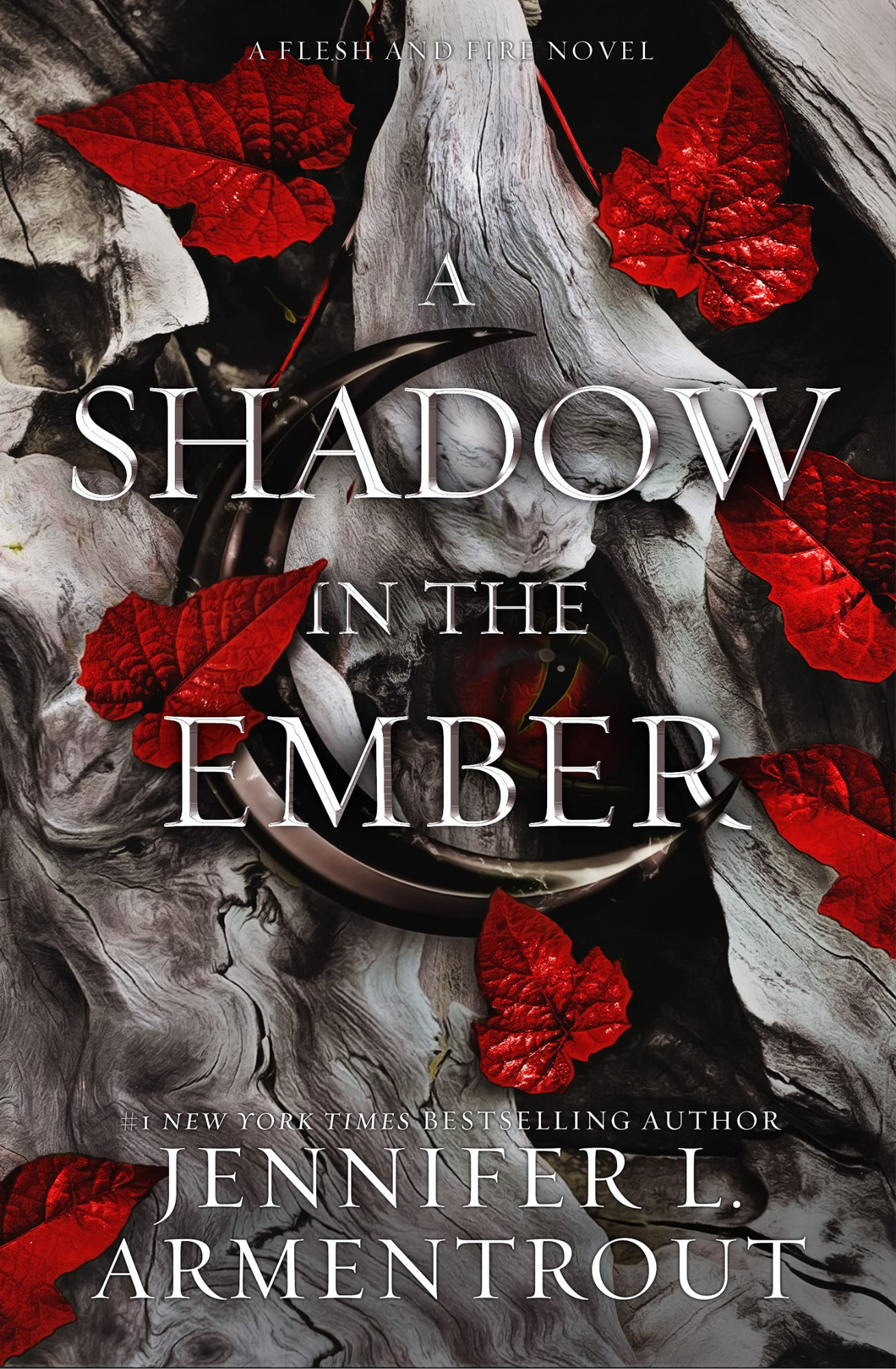 A Shadow in the Ember Book by Jennifer L. Armentrou