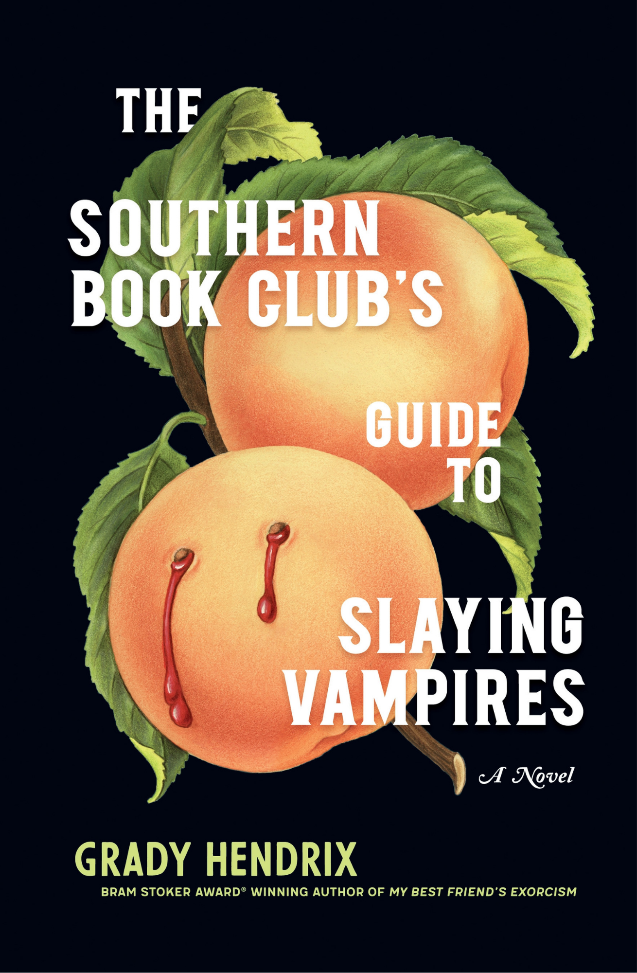 The Southern Book Club's Guide to Slaying Vampires Novel by Grady Hendrix