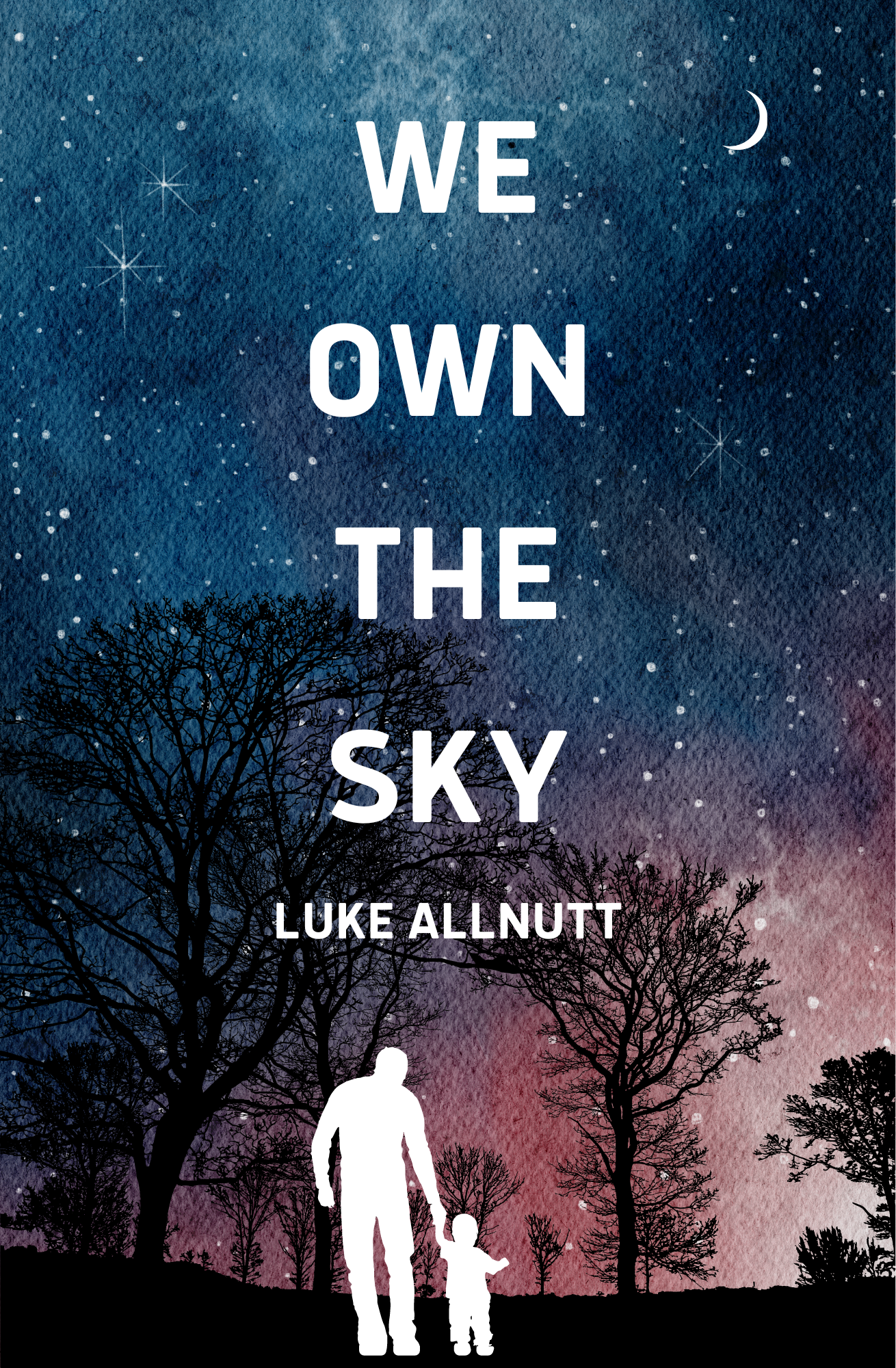 We Own the Sky: A Novel Book by Luke Allnutt