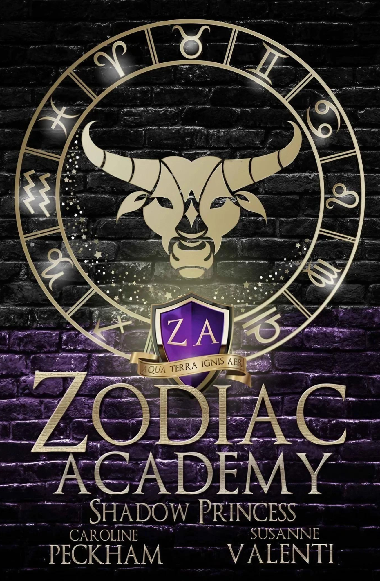 Zodiac Academy 4: Shadow Princess: An Academy Bully Romance
Book by Caroline Peckham and Susanne Valenti