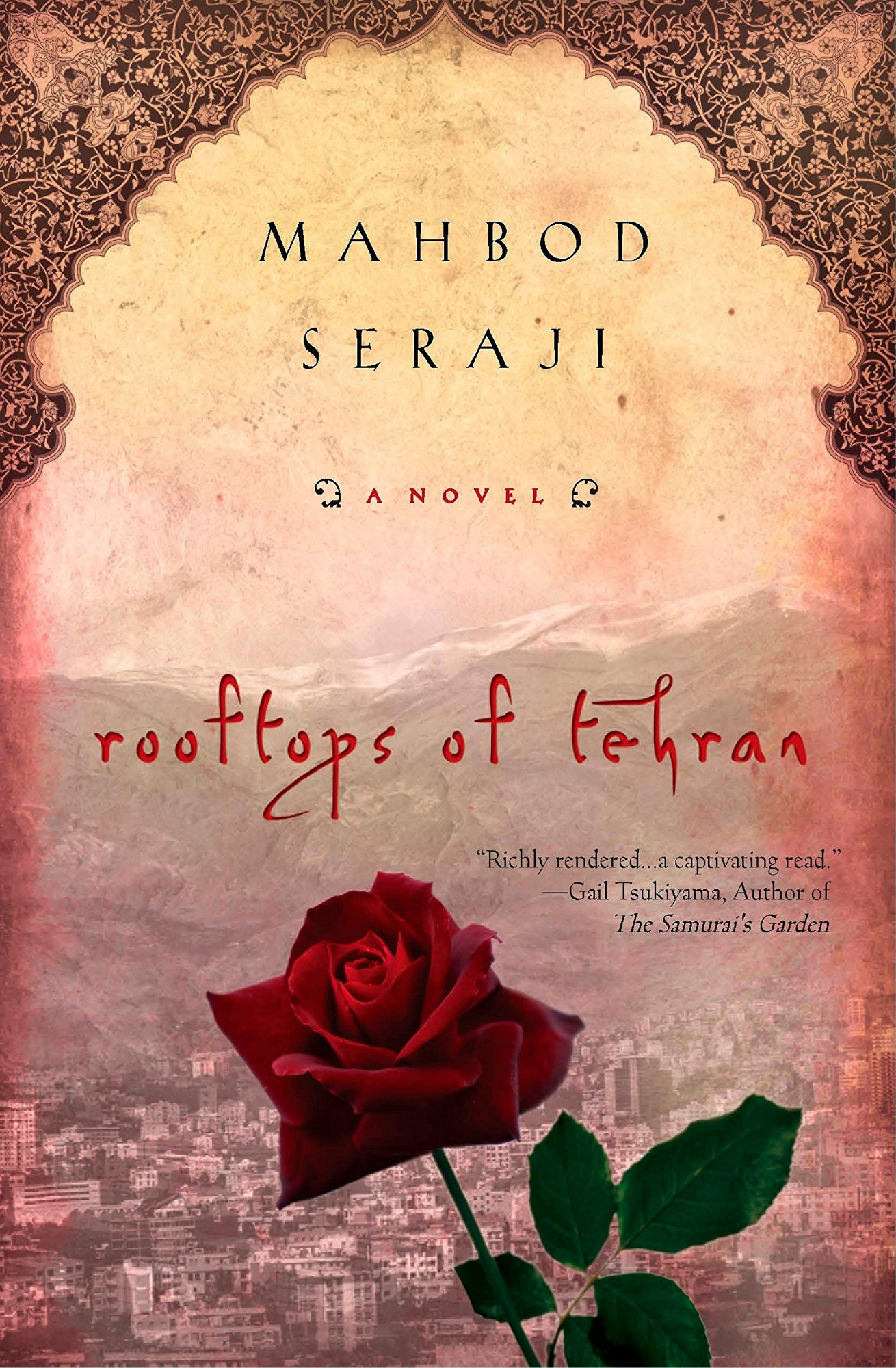 Rooftops of Tehran by Mahbod Seraji