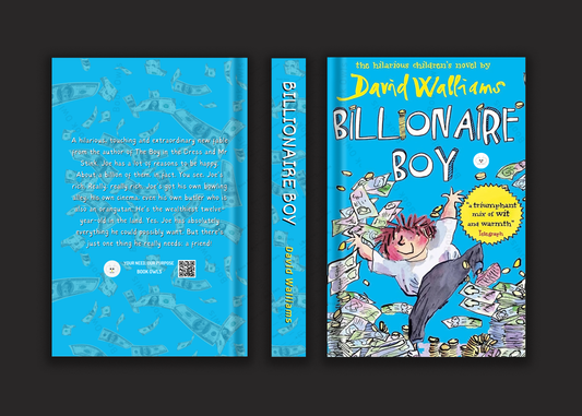 Billionaire Boy Book by David Walliams