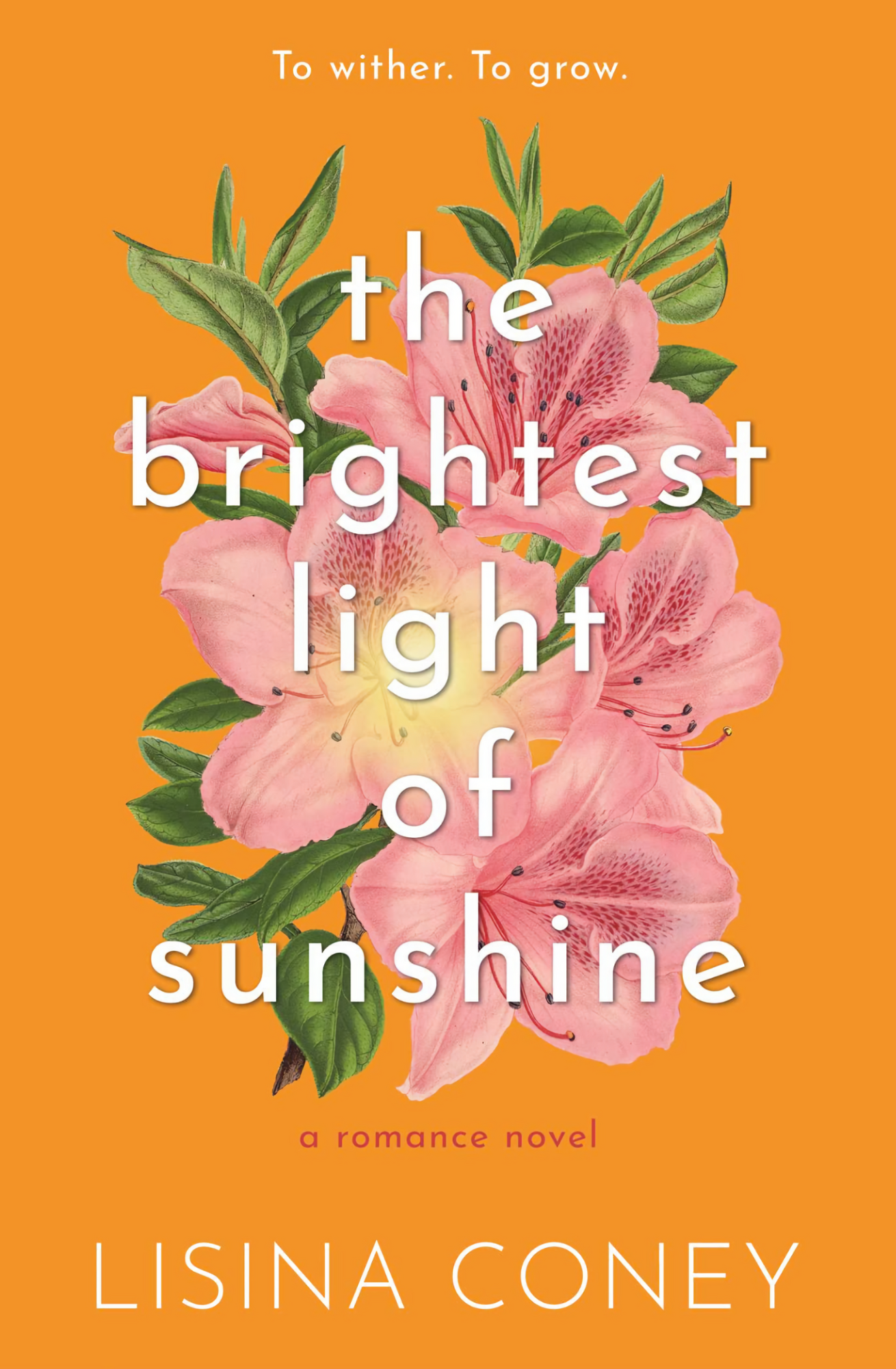 Brightest Light of Sunshine Book by Lisina Coney