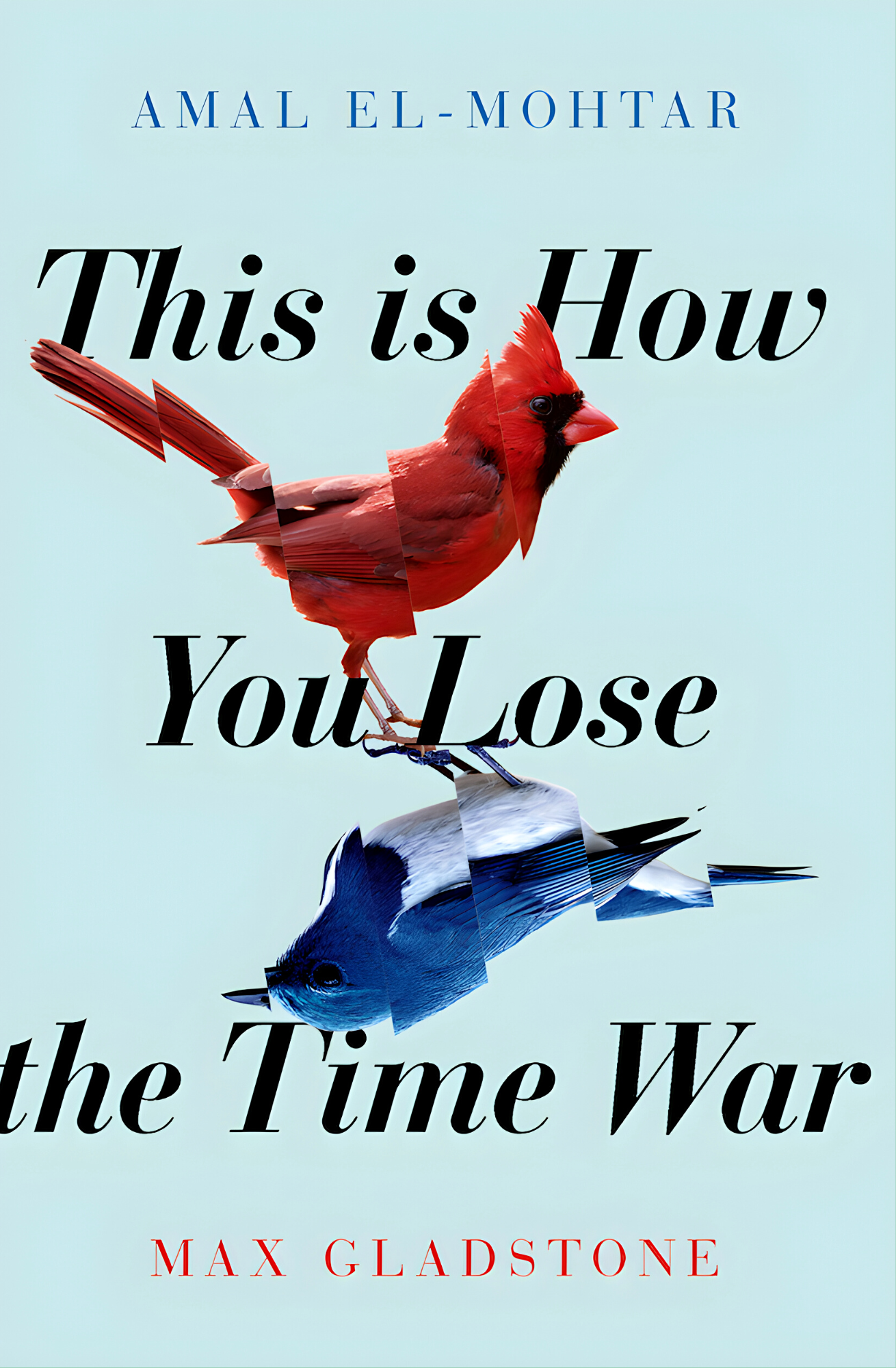 This Is How You Lose the Time War
Book by Amal El-Mohtar and Max Gladstone