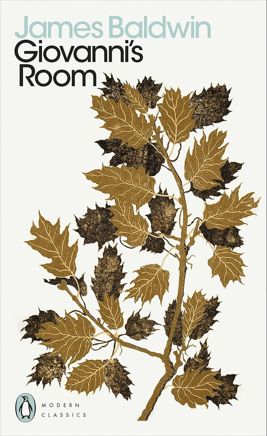 Giovanni's Room Novel by James Baldwin