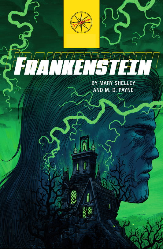 Frankenstein Novel by Mary Shelley