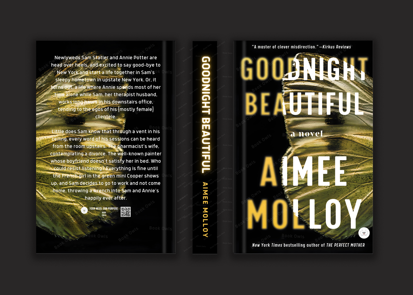 Goodnight Beautiful: A Novel Book by Aimee Molloy