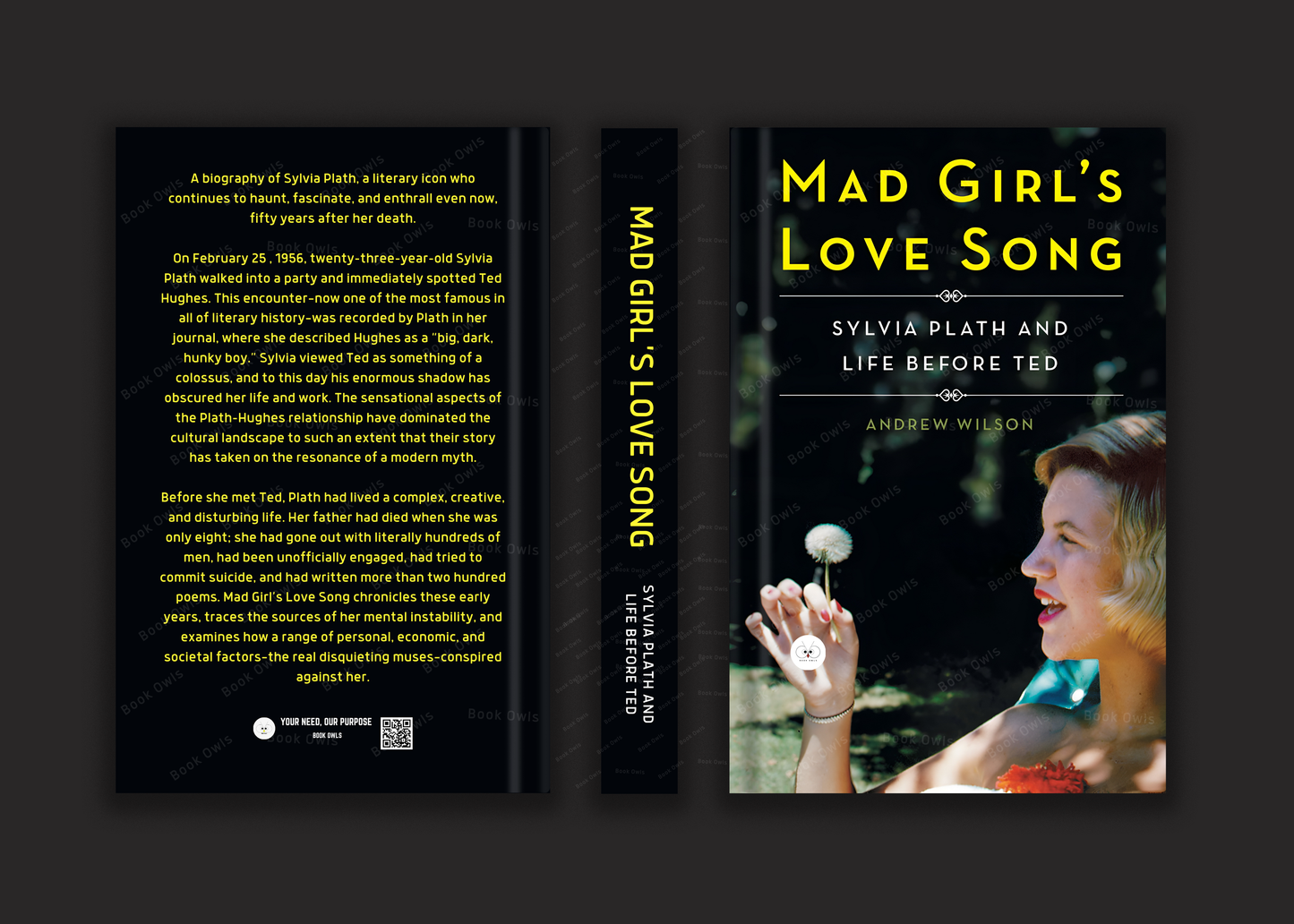 Mad Girl's Love Song Sylvia Plath and Life Before Ted By Andrew Wilson