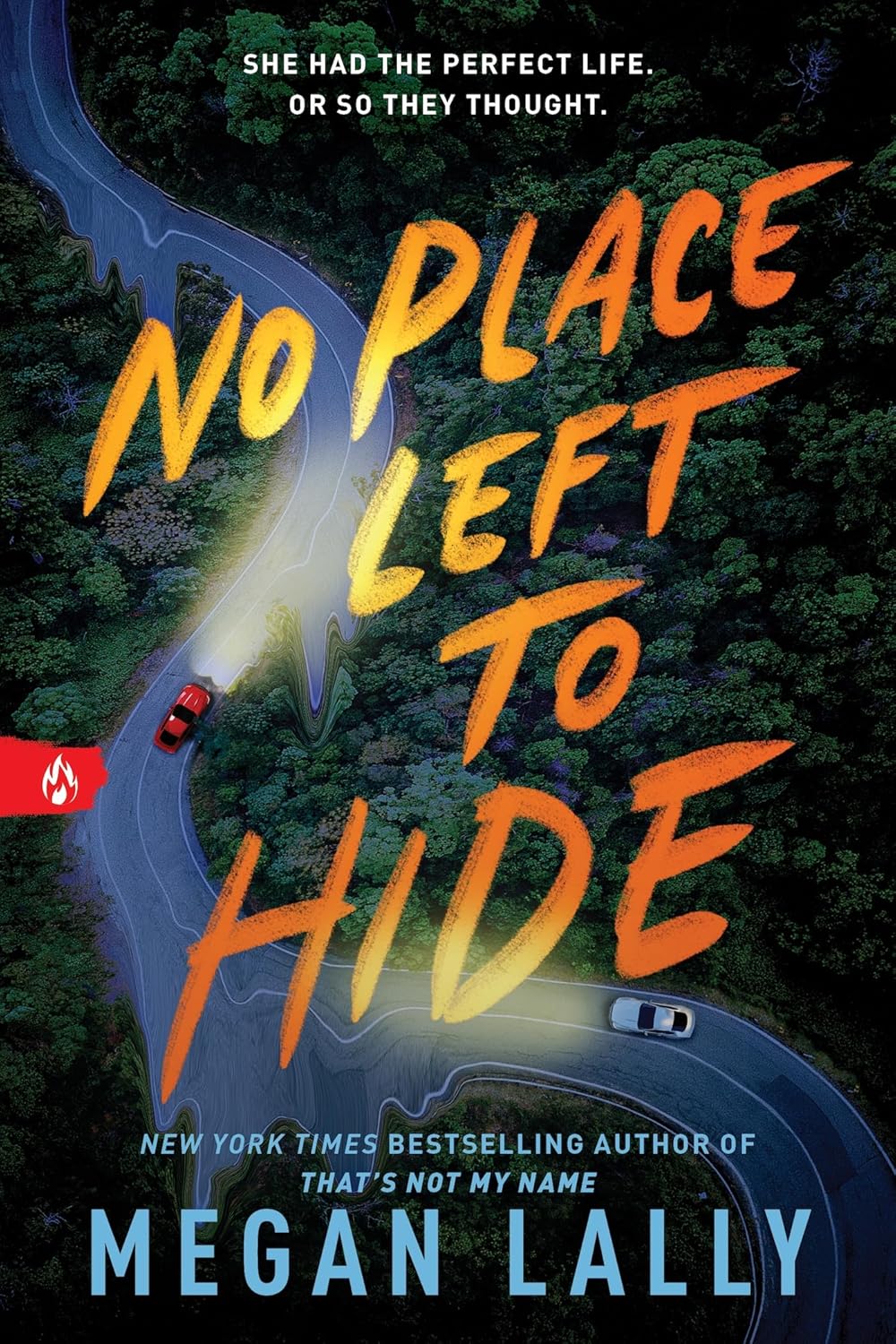 No Place Left to Hide Book by Megan Lally