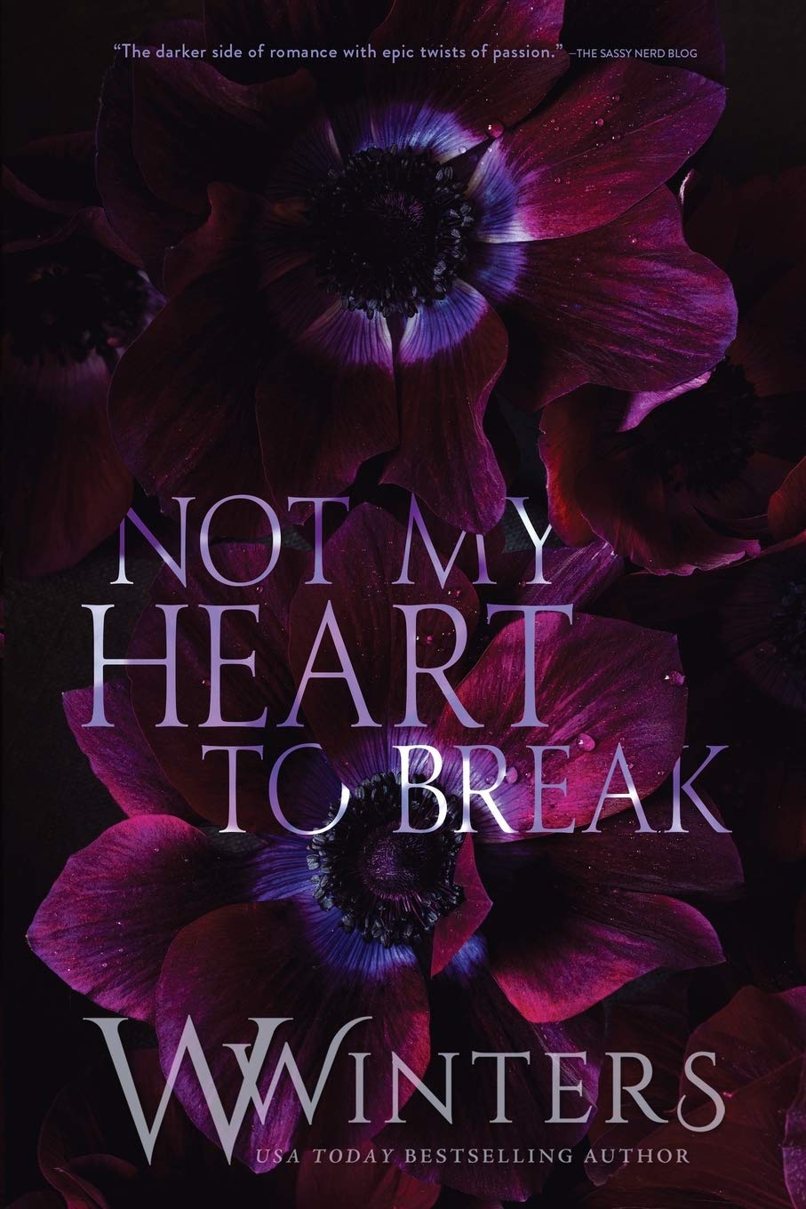 Not My Heart to Break Book by W Winters