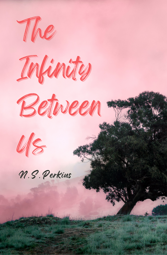 The Infinity Between Us by N.S. Perkins