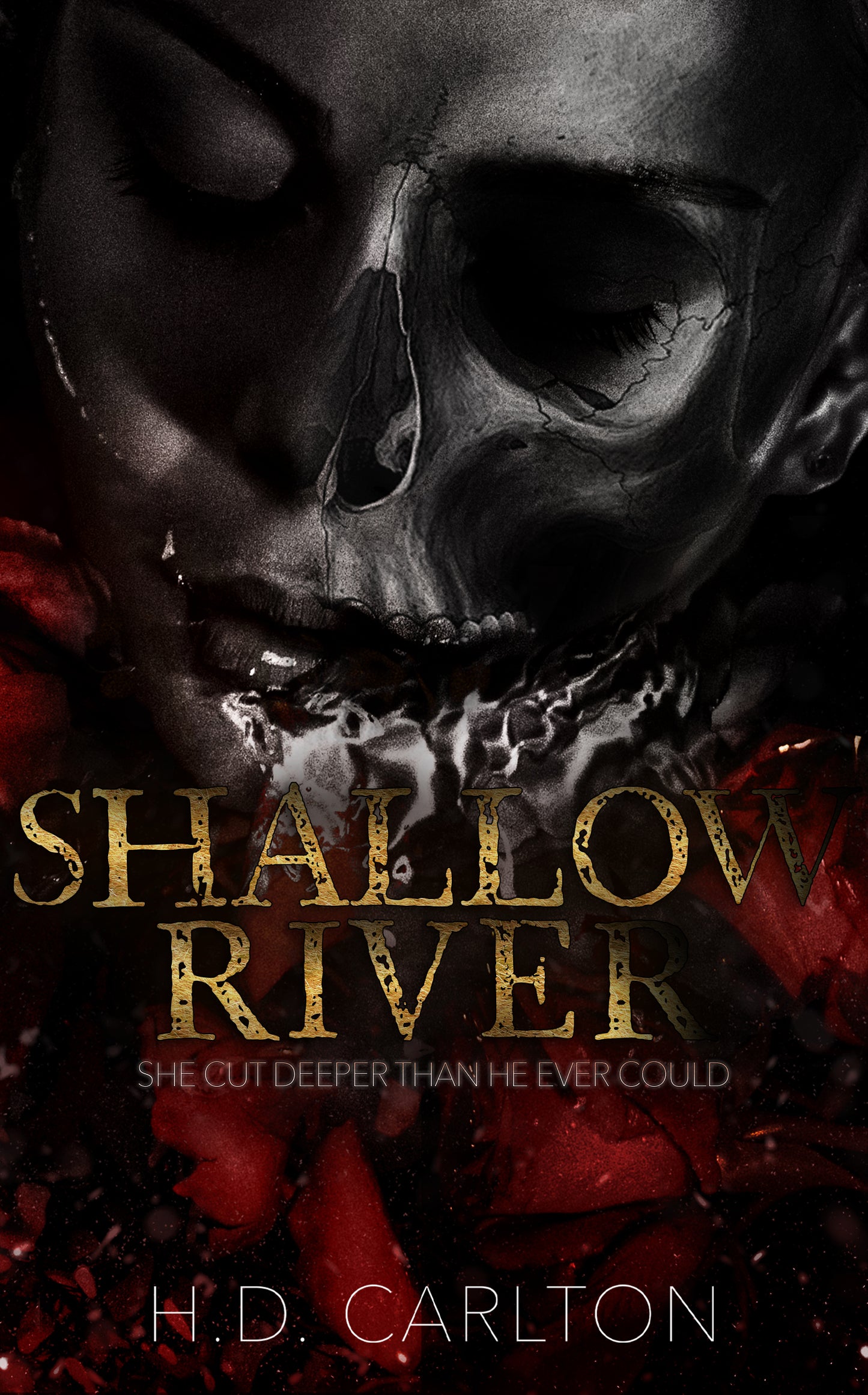Shallow River Book by H. D. Carlton