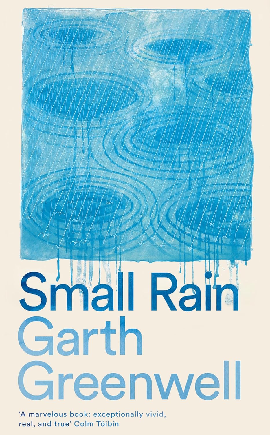 Small Rain Novel by Garth Greenwell