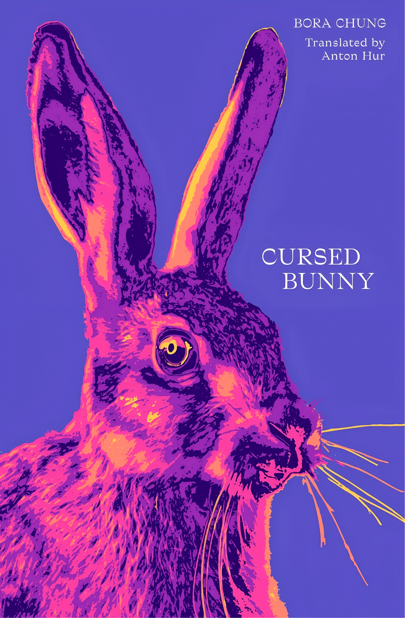 Cursed Bunny: Stories Book by Bora Chung