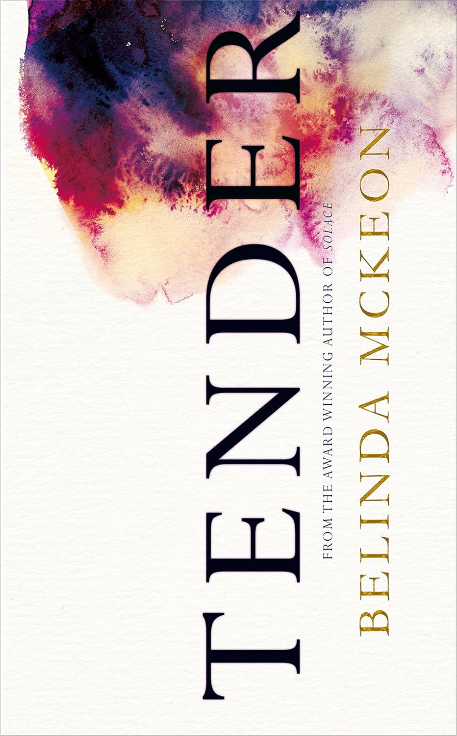 Tender Book by Belinda McKeon