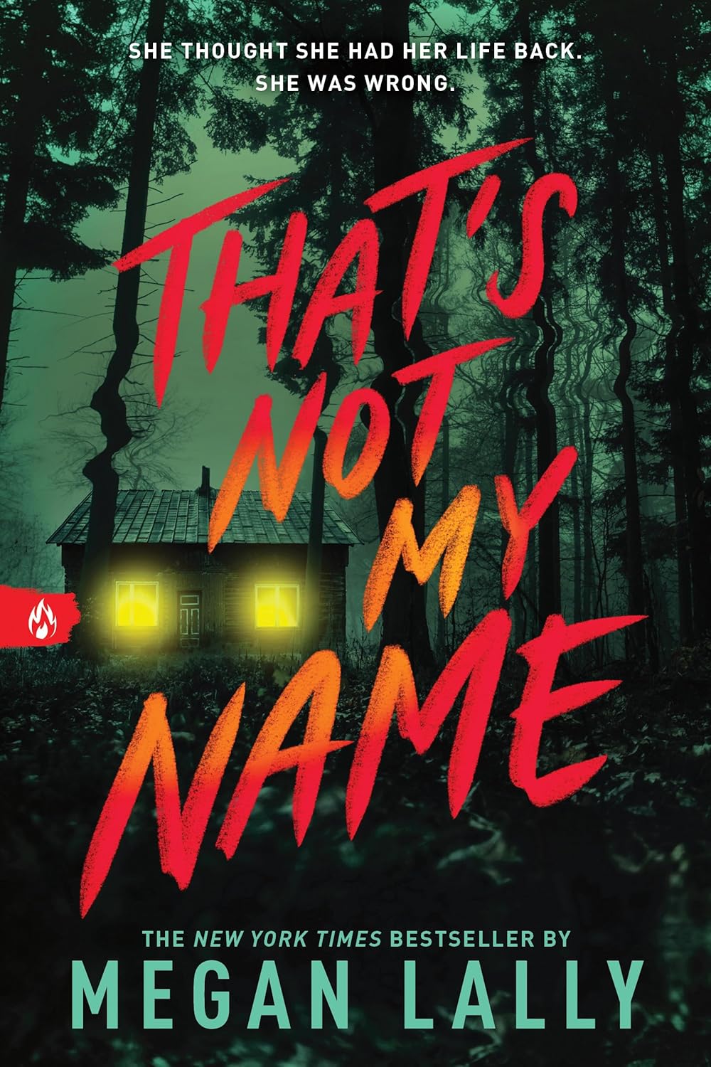 That's Not My Name Book by Megan Lally