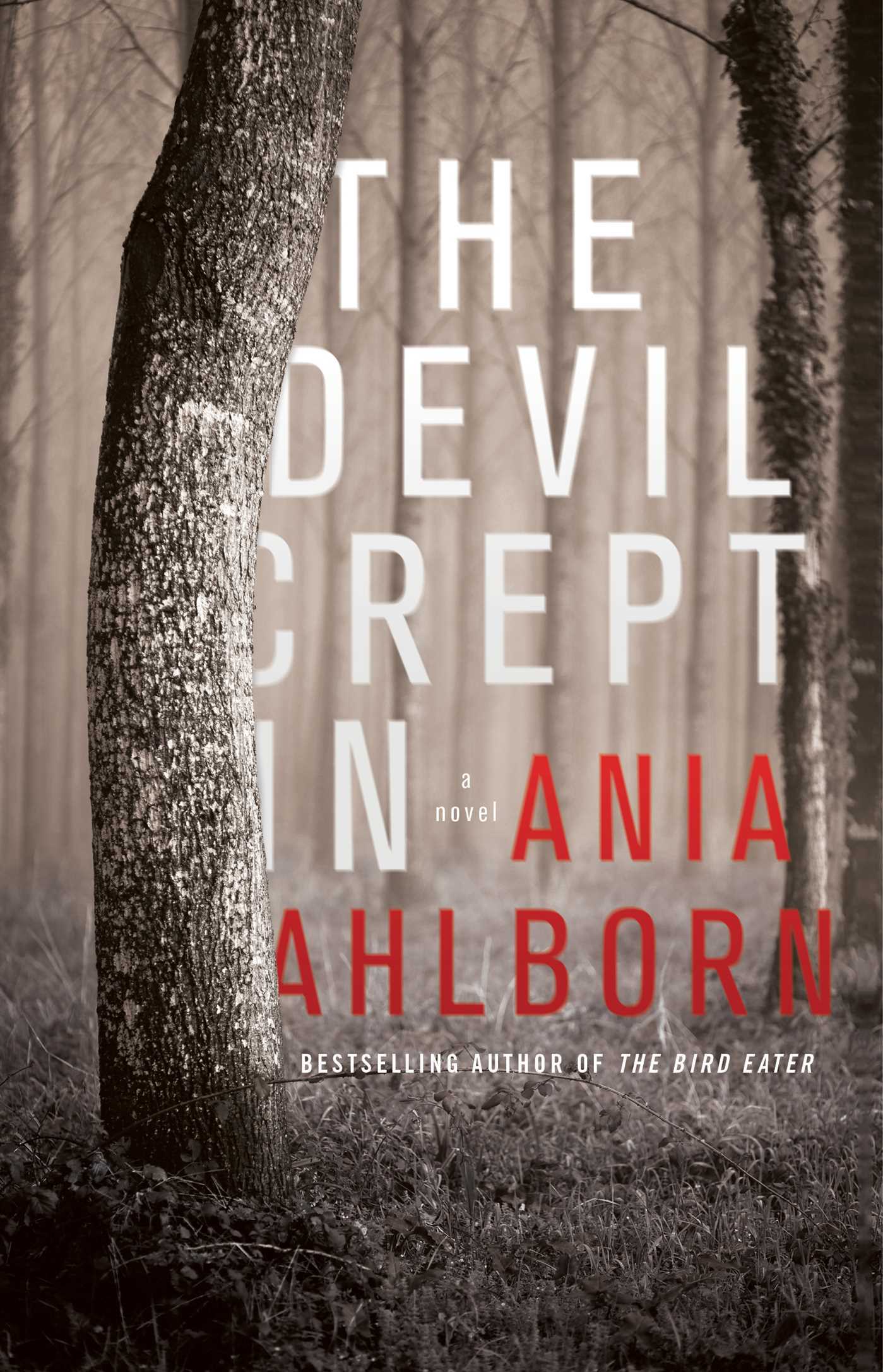 The Devil Crept In Book by Ania Ahlborn