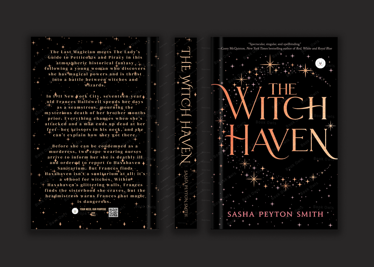 The Witch Haven Book by Sasha Peyton Smith