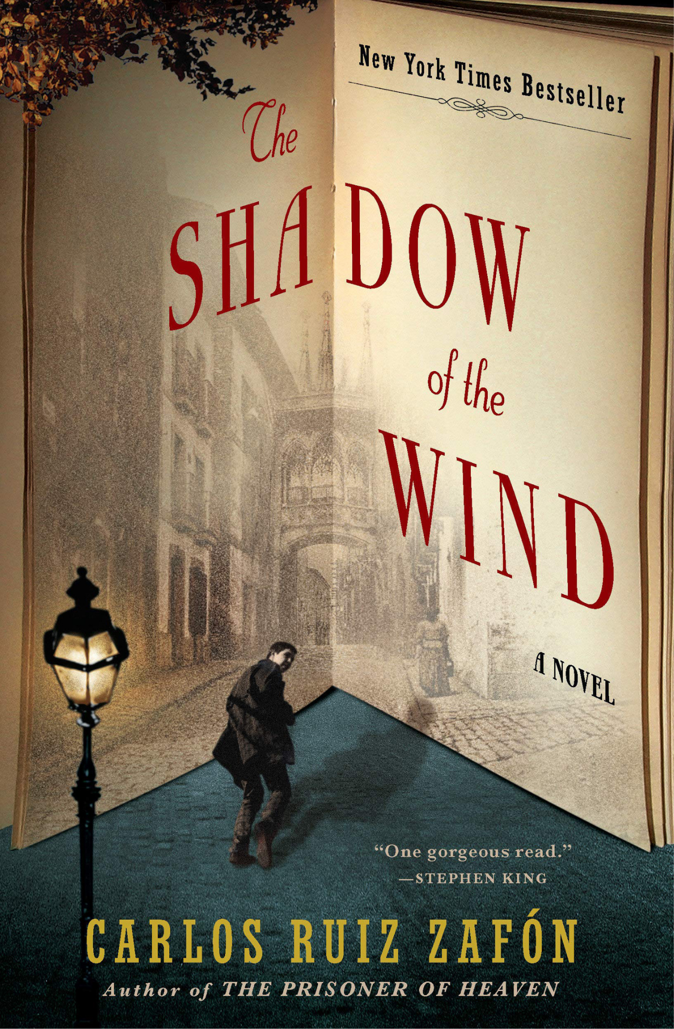 The Shadow of the Wind by Carlos Ruiz Zafon