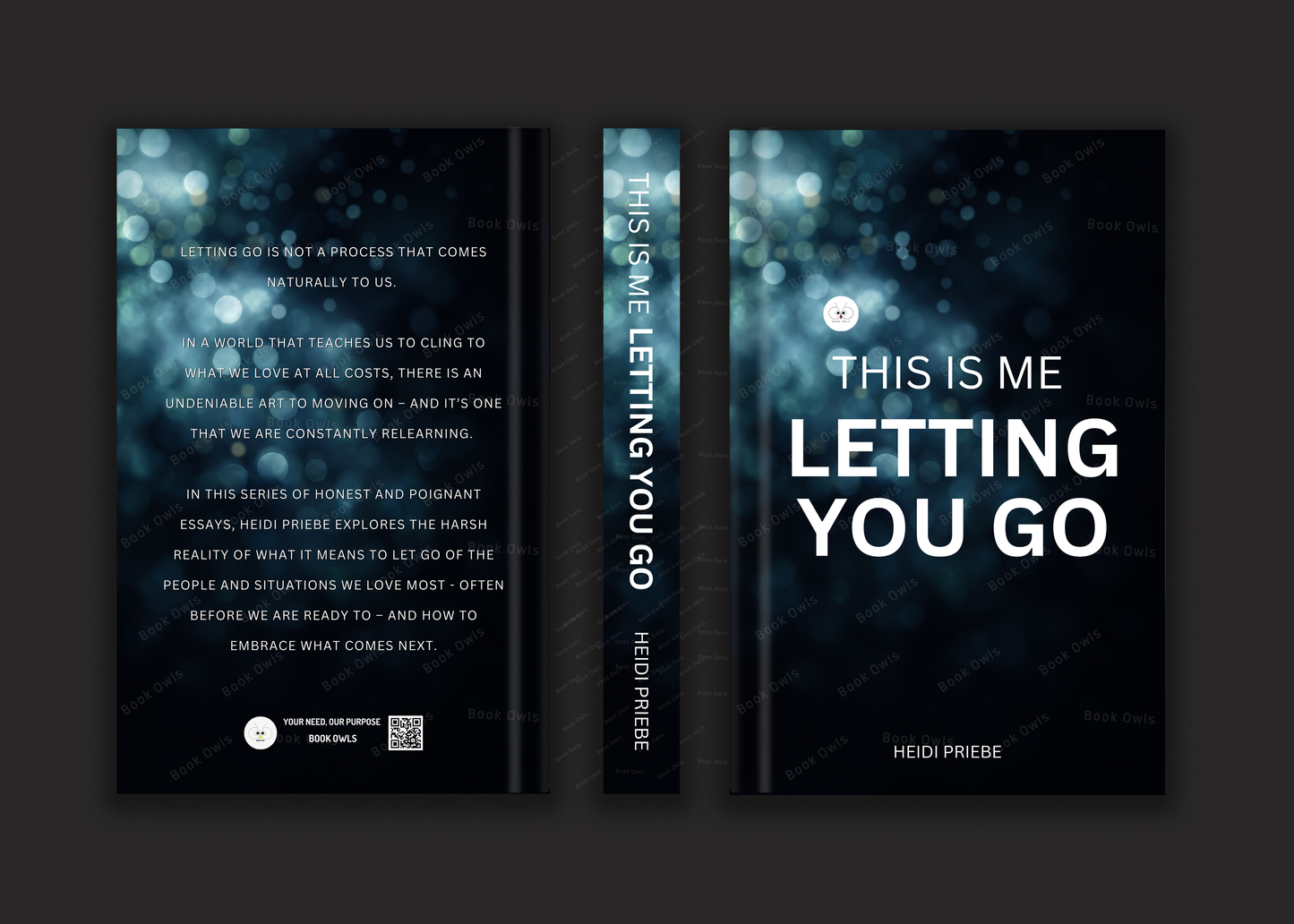 This Is Me Letting You Go Book by Heidi Priebe