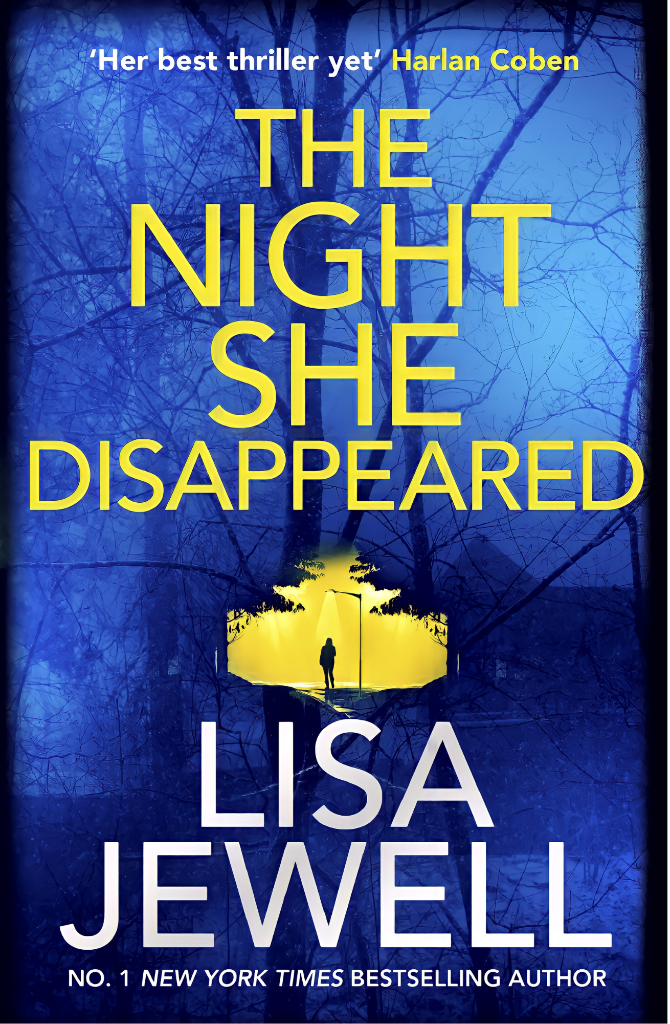 The Night She Disappeared: A Novel Book by Lisa Jewell