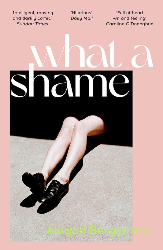 What a Shame Book by Abigail Bergstrom