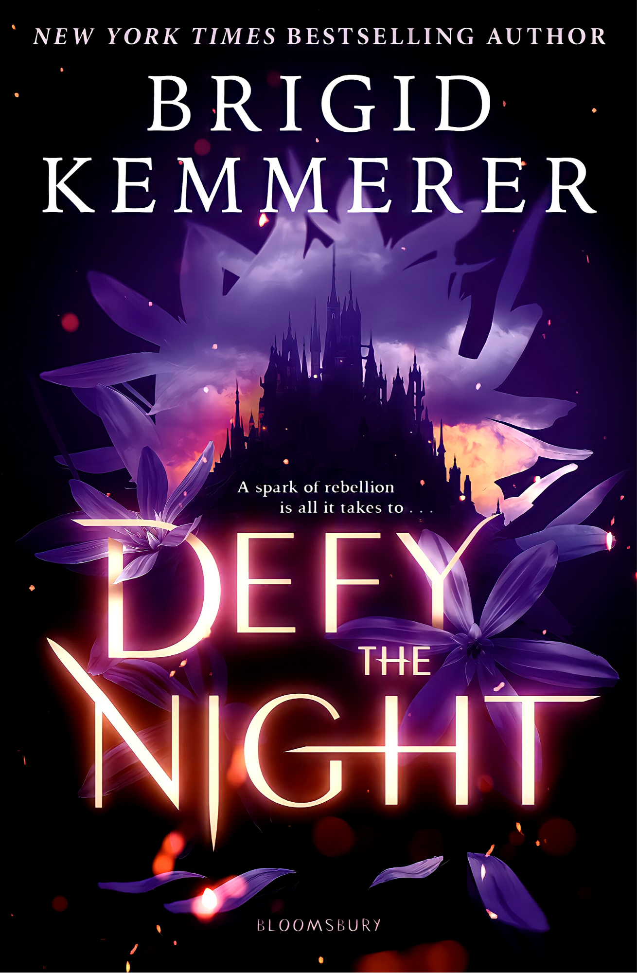 Defy the Night
Book by Brigid Kemmerer