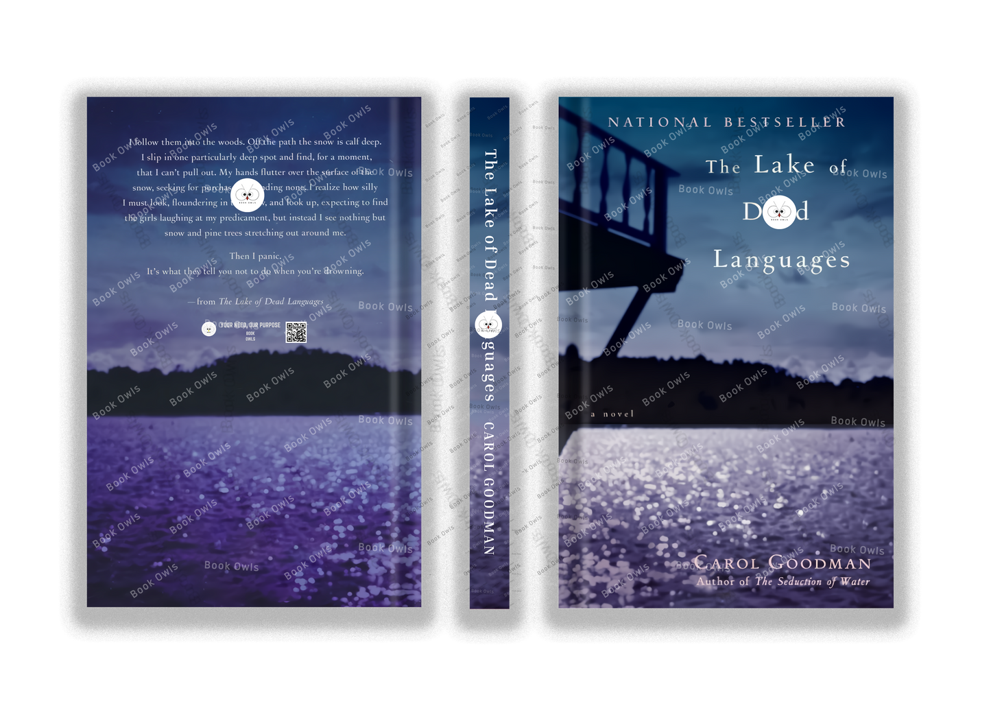 The Lake of Dead Languages
Novel by Carol Goodman